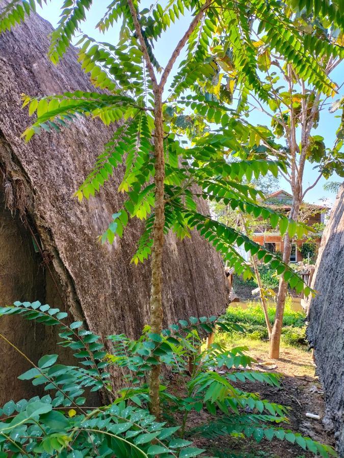 Rice Straw Green Lodge- Resort Quan Tom المظهر الخارجي الصورة