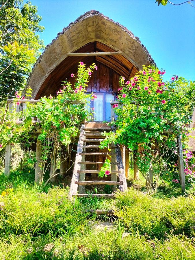 Rice Straw Green Lodge- Resort Quan Tom المظهر الخارجي الصورة