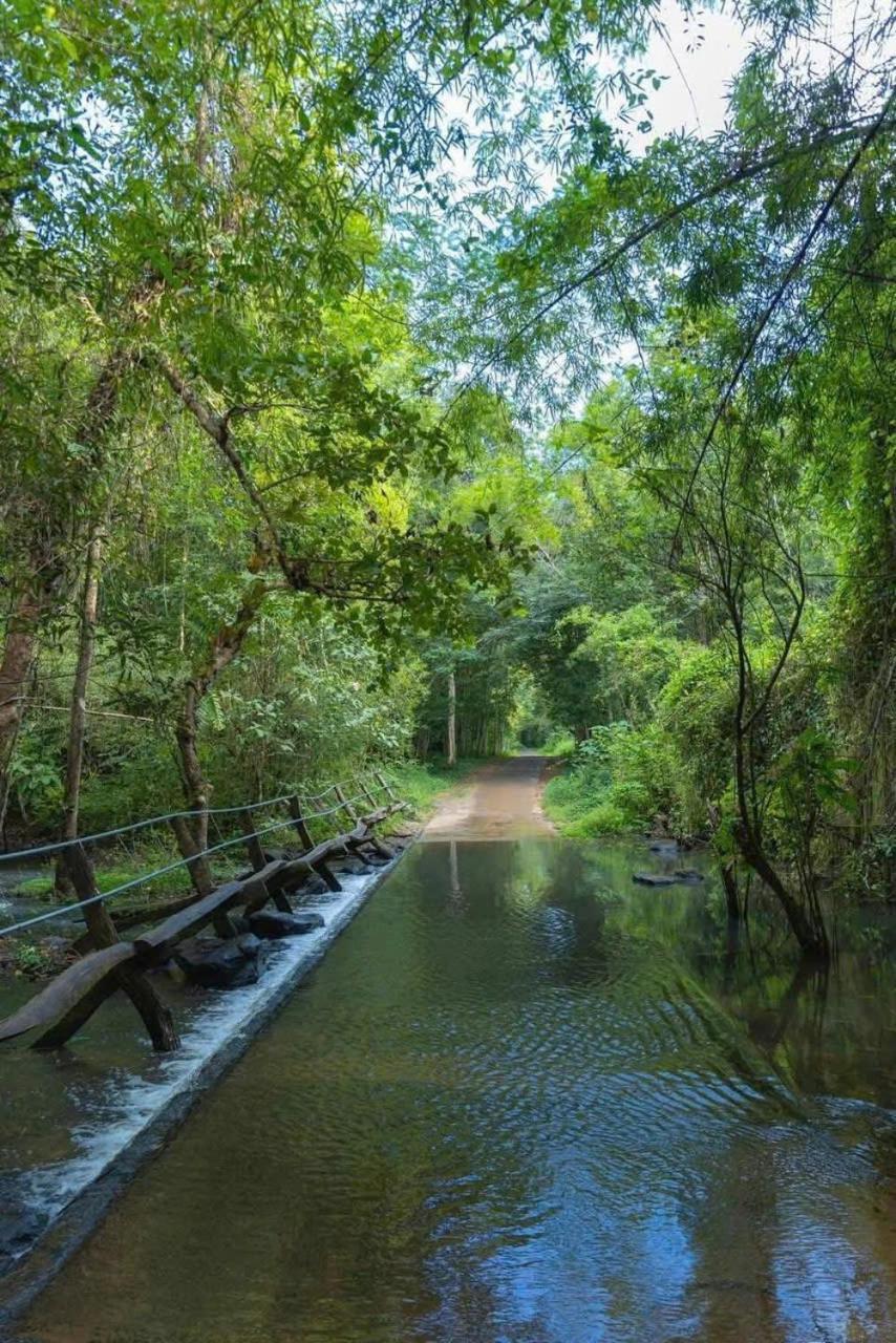 Rice Straw Green Lodge- Resort Quan Tom المظهر الخارجي الصورة